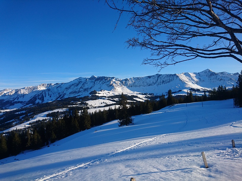 Winterausflug 2020 3